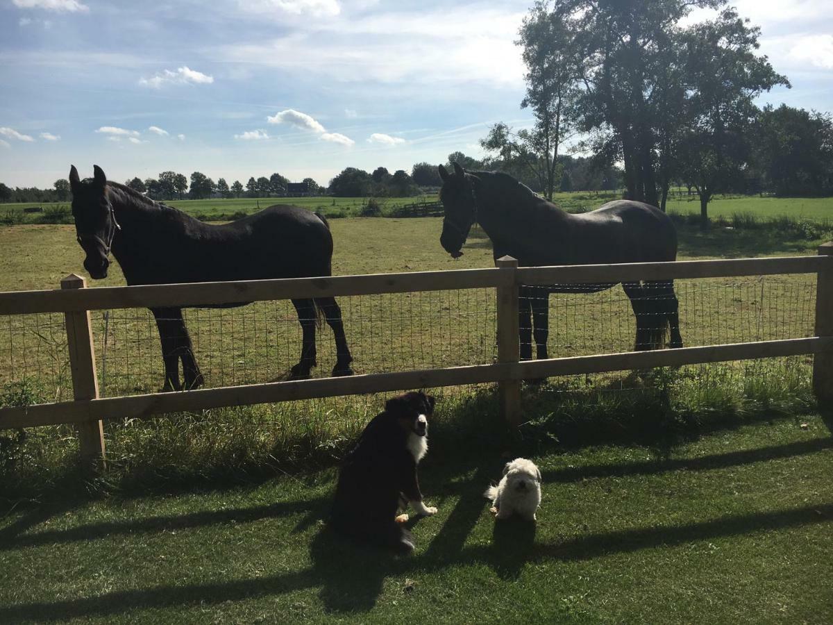 Gorredijk Aan De Leijen Bed & Breakfast エクステリア 写真