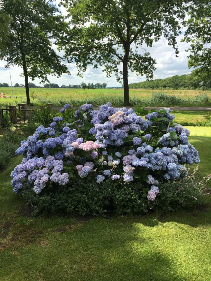 Gorredijk Aan De Leijen Bed & Breakfast エクステリア 写真